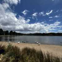 Things you probably don’t know about Sydney
