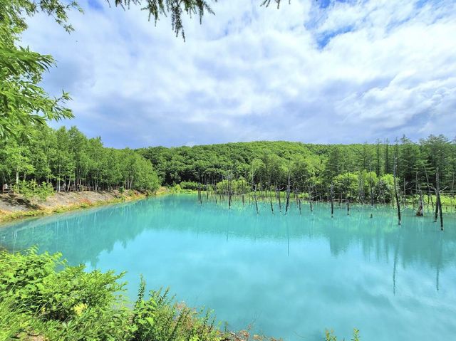 北海道美不勝收嘅青池💚💙