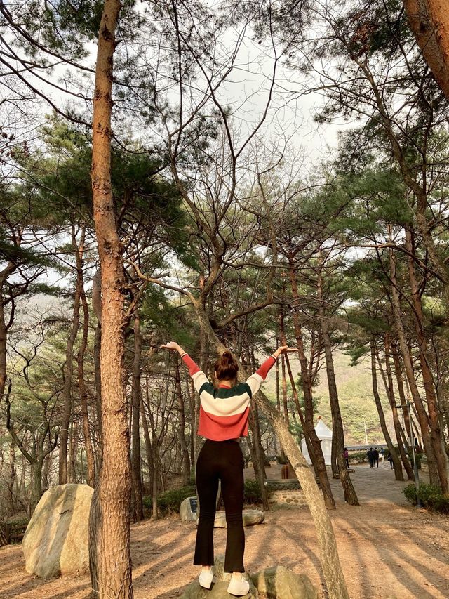 양산 풍경맛집