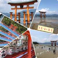 宮島必到全日本🇯🇵唯一海上鳥居⛩️