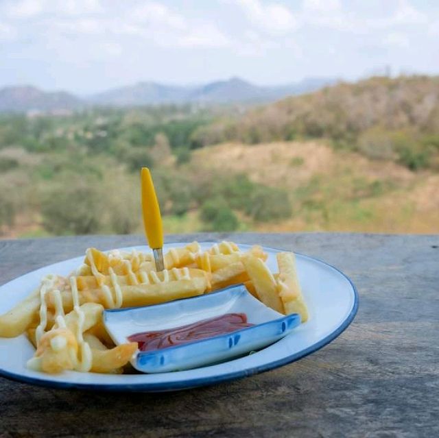 ต้นไม้ใบหญ้า Cafe' at แก่งกระจาน 🏕