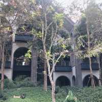 Rabbit Cafe คาเฟ่น่ารักเขาใหญ่ 