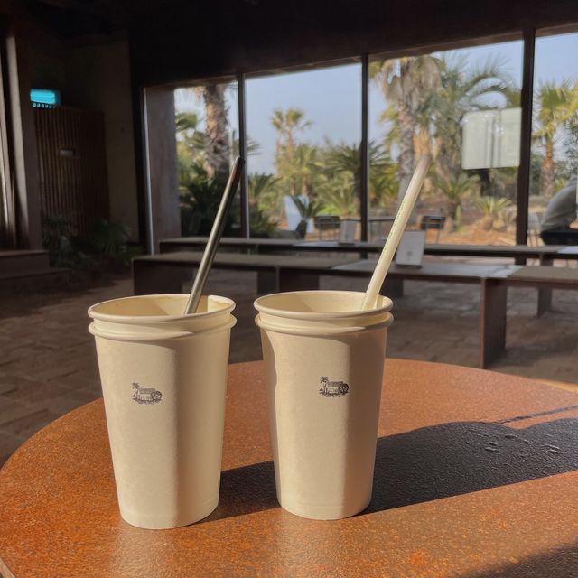 이국적인 제주 야자수카페 🏝