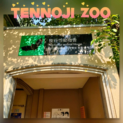 大阪 天王寺 夜の遊園地 天王寺動物園 Trip Com 大阪の旅のブログ