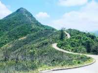 針山