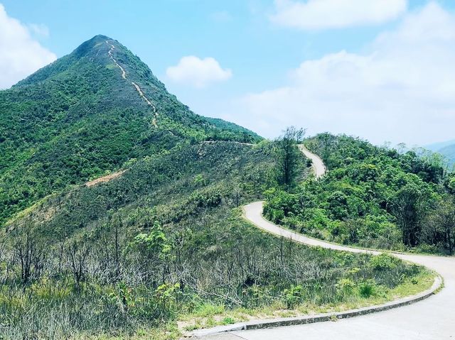 針山