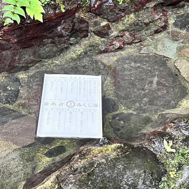 【京都】夏の涼を求めて訪れたい場所