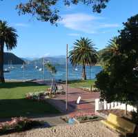 뉴질랜드 남섬🇳🇿 아름답고 평화로운 해변 마을, 픽턴🏝