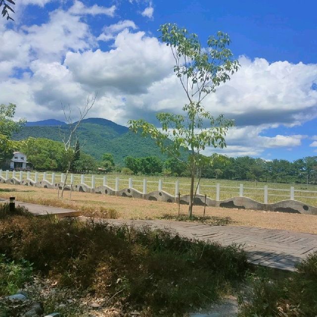 花蓮瑞穗牧場