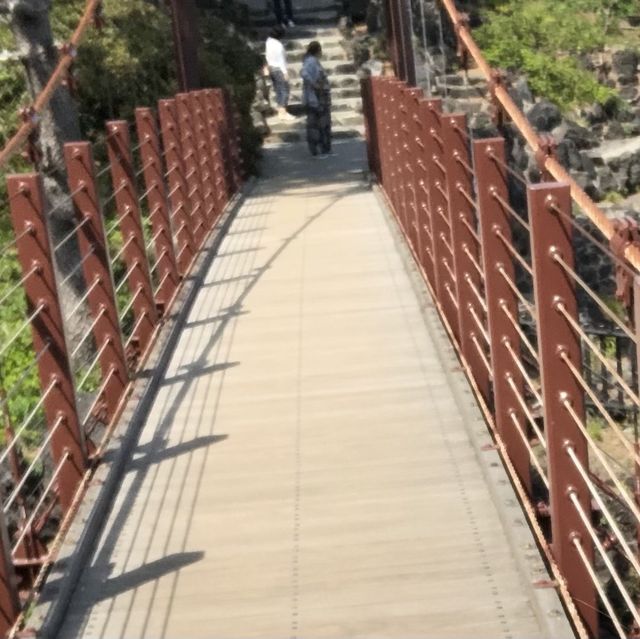 【静岡県】城ヶ崎海岸で青い海と森林浴を楽しむ！