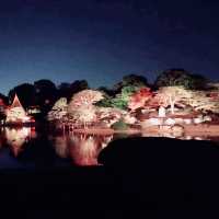 紅葉時期の夜ライトアップin 六義園