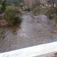 near warbouton