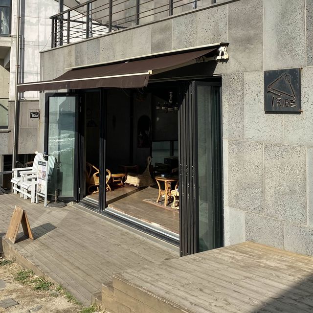 제주 애월 카페 트라이브 TRIBE