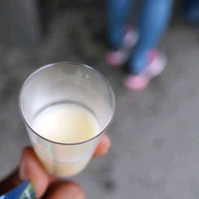 유럽여행 노르웨이 여행 플롬