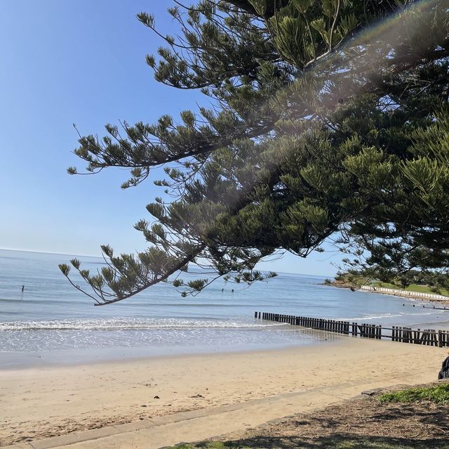 Torquay beach 