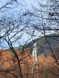 대전 단풍명소로 유명한 장태산🍁