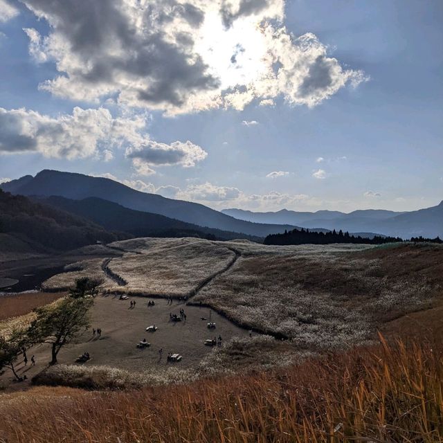 曽爾高原