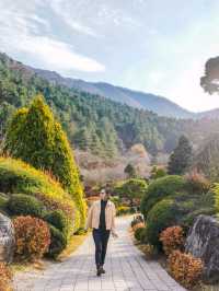 South Korea Autumn trip