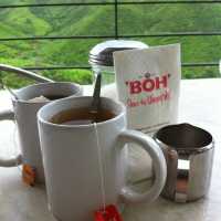 BOH Tea Center at Highlands