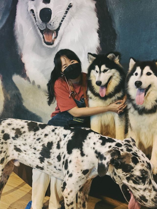 Dog Country Cafe สนุก ไม่จำกัดเวลา