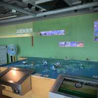 展城館