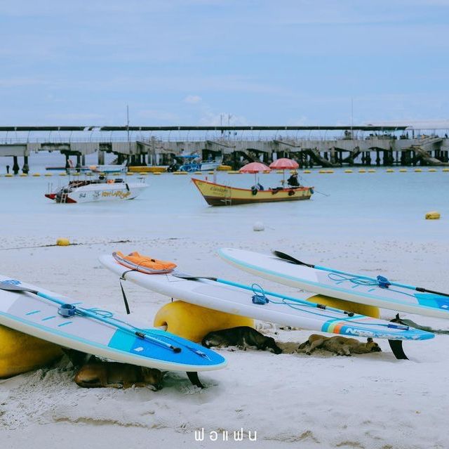 พายซัพโต้คลื่น ทะเลเกาะล้าน