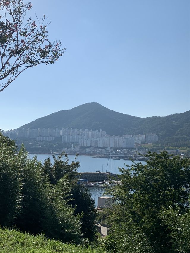 여수 섬 여행 추천 :: 아름다운 예술의 섬 장도🌊