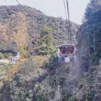 街ブラ【城崎温泉】part2⭐