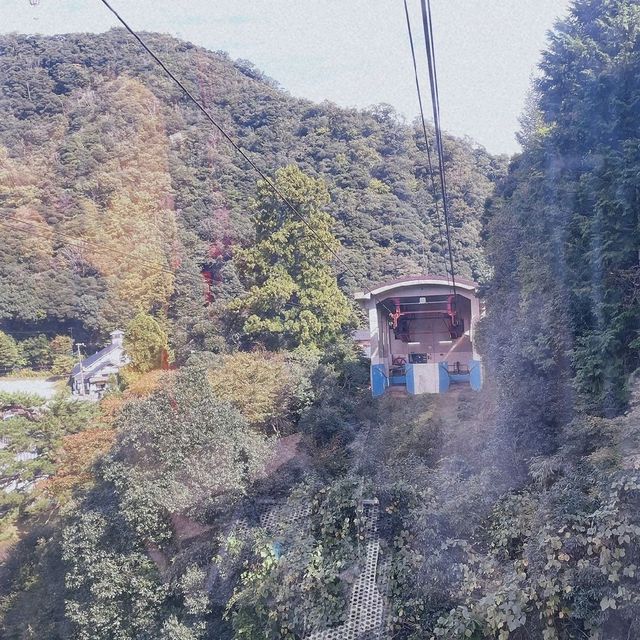 街ブラ【城崎温泉】part2⭐