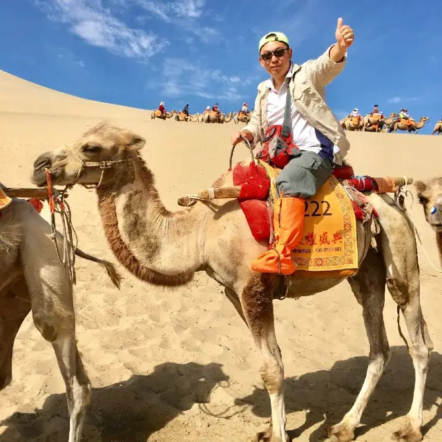 敦煌沙漠騎駱駝