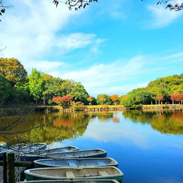 池に浮かぶお堂【浮見堂】