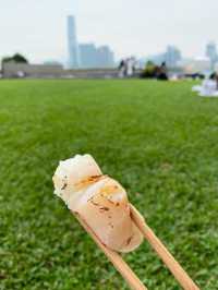 心血來潮突然想去野餐一番！