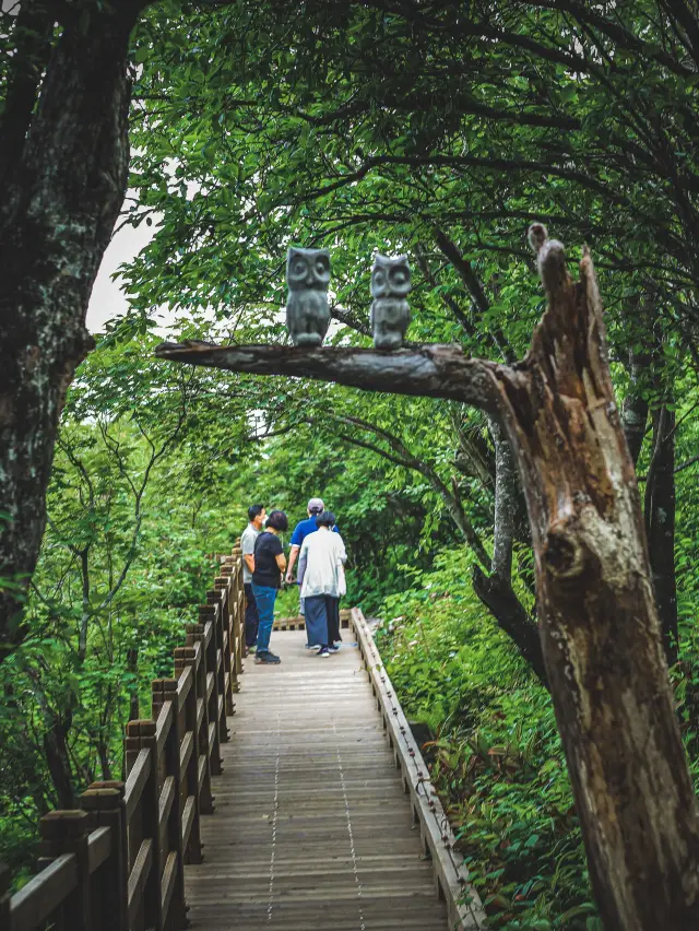 사진마저 상쾌한 '발왕산'