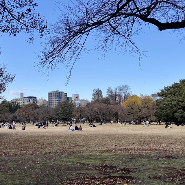 新宿御苑の芝生の広場