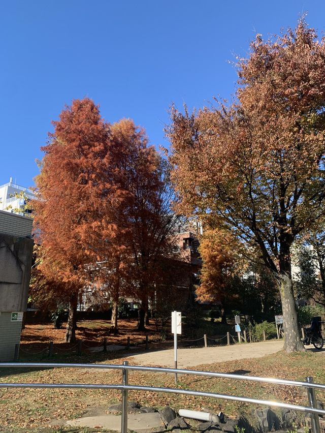 【東京都】錦糸町駅近く　大横川親水公園
