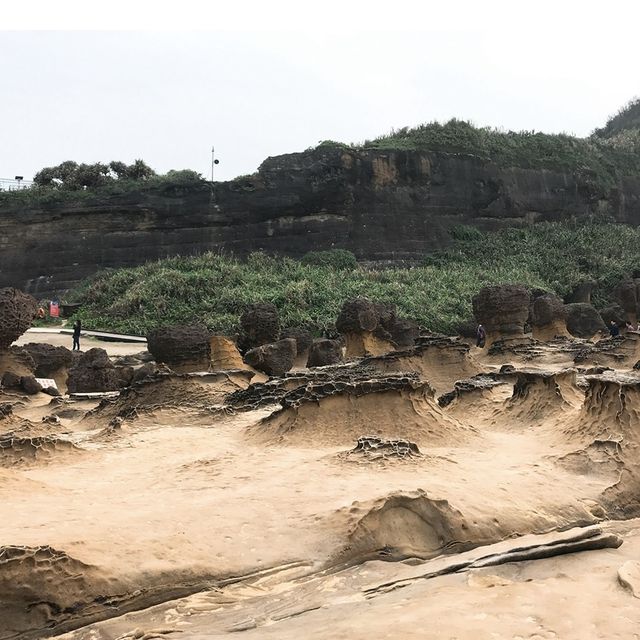 奇岩美石探索之遊記載🪨野柳地質公園