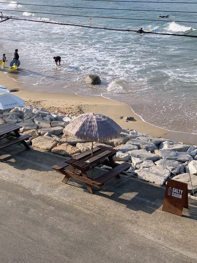 양양 오션뷰 카페 ‘솔티캐빈’ 🏖
