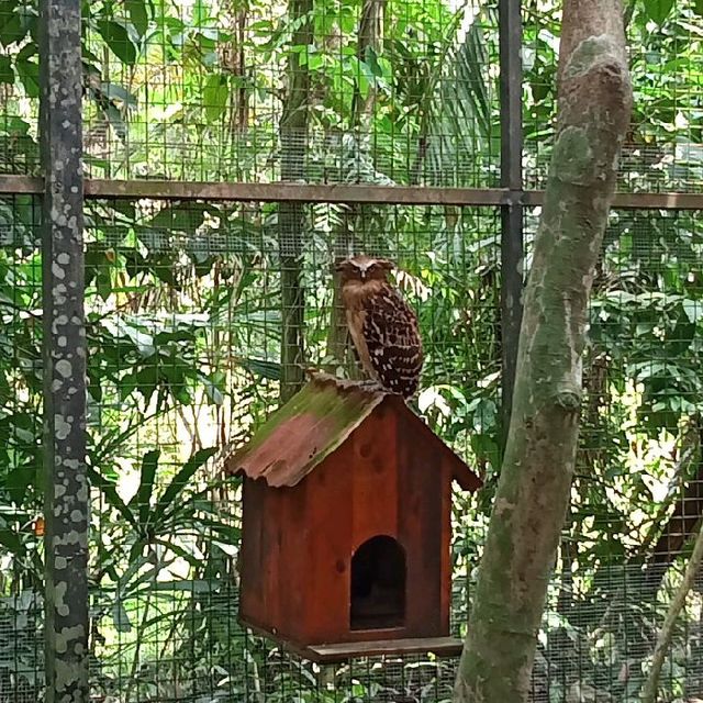 enjoying our zoo trip! 