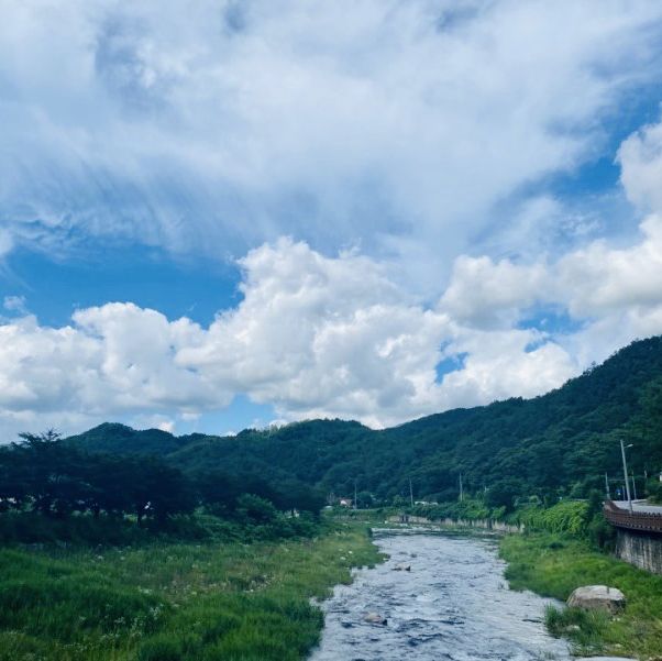 수영장과 계곡이 있는 마운틴뷰 단양여행펜션추천 🌊