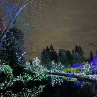 Christmas lights festival at the botanical gardens 