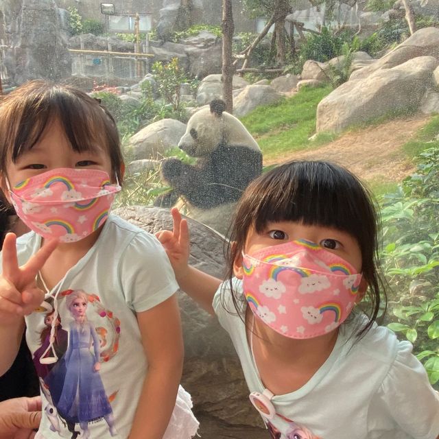 海洋公園返嚟啦！