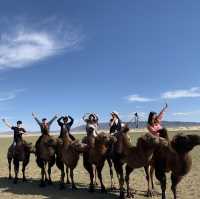 훼손되지않은 자연🏞몽골에서 낙타타기🐫