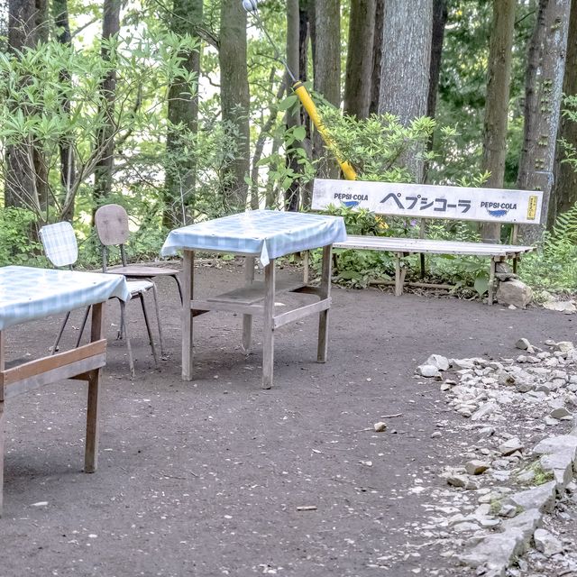 新緑の観音茶屋
