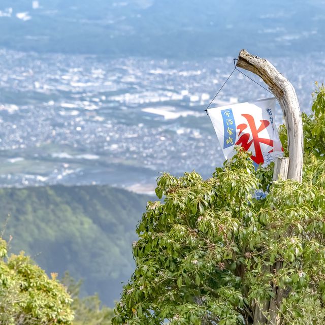 新緑の花立山荘
