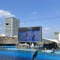 名古屋港水族館🐟
