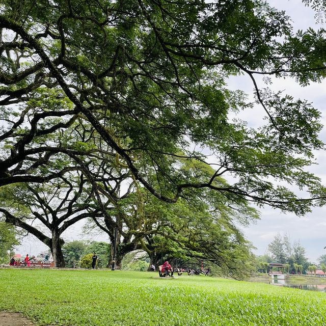 Peaceful Taman Tasik Taiping