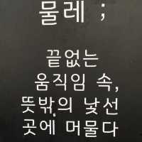 노원역 이쁜 카페 🌿물레🌿 분위기 💛