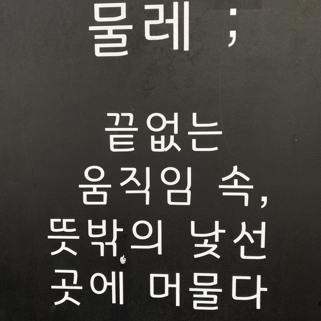 노원역 이쁜 카페 🌿물레🌿 분위기 💛