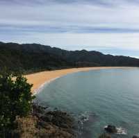 뉴질랜드 해변을 따라 걷는 아벨타즈만 트랙🇳🇿🌊