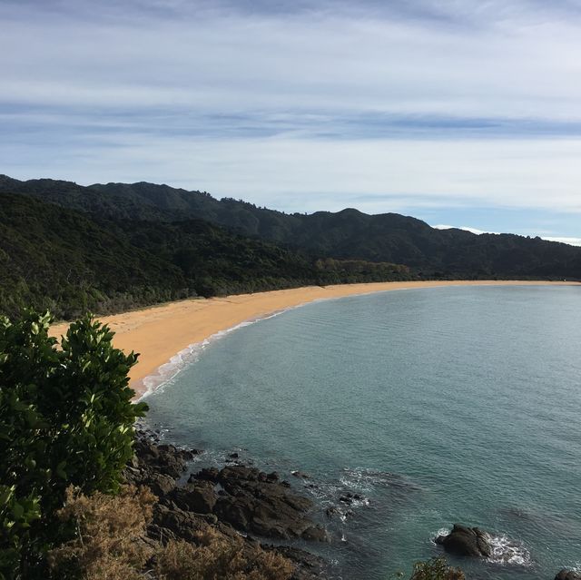 뉴질랜드 해변을 따라 걷는 아벨타즈만 트랙🇳🇿🌊